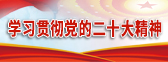 學(xué)習(xí)貫徹黨的二十大精神