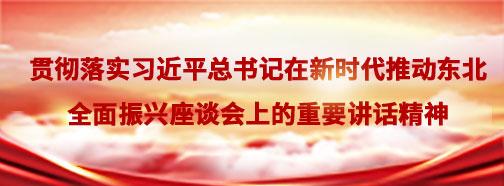 貫徹落實(shí)習(xí)近平總書記在深入推進(jìn)東北振興座談會(huì)上的重要講話精神